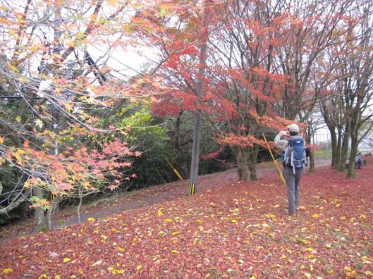 12.�����R�̎ʐ^