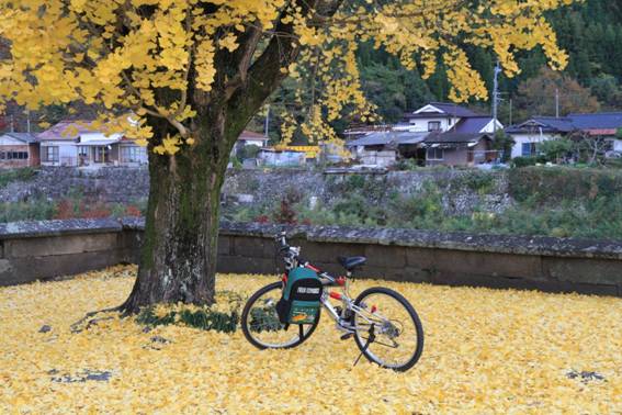 30.��n��̎ʐ^