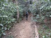 ����: C:\Users\kita-p\Desktop\���q�R�J�R�ՁE���R�i�Ղ̔����j�Q�O�P�P�N�S���R��\IMG_2175.JPG