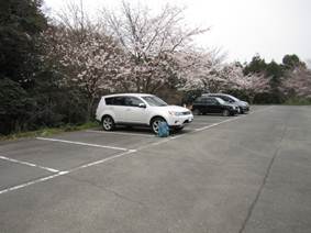 ����: C:\Users\ktsik\Desktop\���q�R�J�R�ՁE���R�i�Ղ̔����j�Q�O�P�P�N�S���R��\IMG_2137.JPG