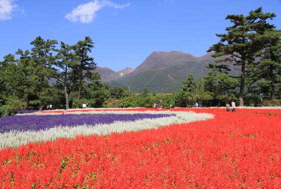 26.�����イ�Ԍ����̎ʐ^