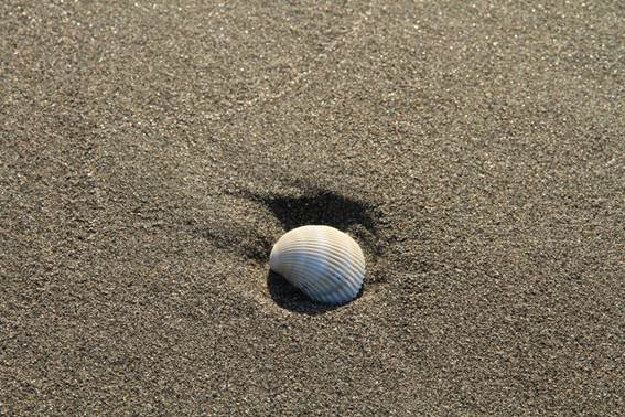 説明: C:\Users\ktsik\Desktop\みやざき周遊Part2、2011年4月28〜29日\IMG_8406.JPG