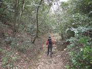 ����: C:\Users\ktsik\Desktop\���q�R�J�R�ՁE���R�i�Ղ̔����j�Q�O�P�P�N�S���R��\IMG_2150.JPG