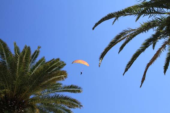 説明: C:\Users\ktsik\Desktop\みやざき周遊Part2、2011年4月28〜29日\IMG_8501.JPG