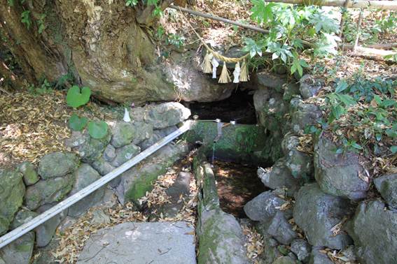 説明: C:\Users\ktsik\Desktop\みやざき周遊Part2、2011年4月28〜29日\IMG_8521.JPG