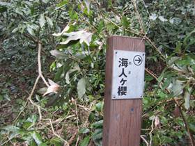 ����: C:\Users\kita-p\Desktop\���q�R�J�R�ՁE���R�i�Ղ̔����j�Q�O�P�P�N�S���R��\IMG_2174.JPG