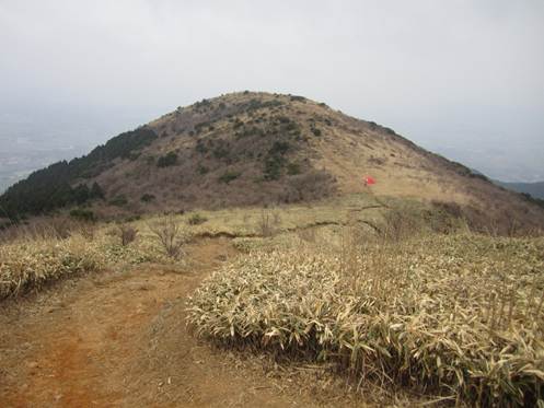 ����: C:\Users\kita-p\Desktop\���q�R�J�R�ՁE���R�i�Ղ̔����j�Q�O�P�P�N�S���R��\IMG_2201.JPG