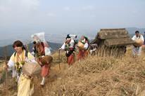 ����: C:\Users\ktsik\Desktop\���q�R�J�R�ՁE���R�i�Ղ̔����j�Q�O�P�P�N�S���R��\IMG_7976.JPG