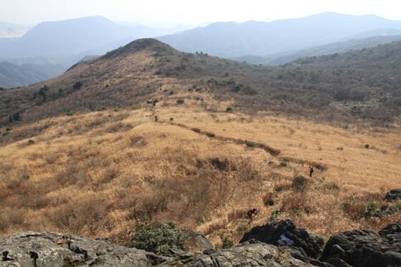 31.���q�R�̎ʐ^