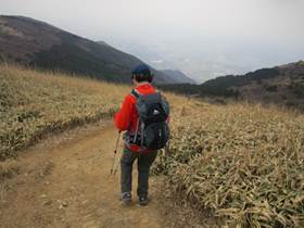 ����: C:\Users\ktsik\Desktop\���q�R�J�R�ՁE���R�i�Ղ̔����j�Q�O�P�P�N�S���R��\IMG_2225.JPG