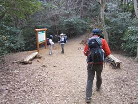 ����: C:\Users\ktsik\Desktop\���q�R�J�R�ՁE���R�i�Ղ̔����j�Q�O�P�P�N�S���R��\IMG_2230.JPG