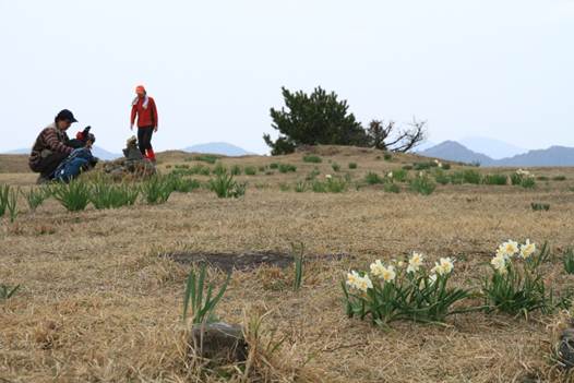 ����: C:\Users\ktsik\Desktop\���q�R�J�R�ՁE���R�i�Ղ̔����j�Q�O�P�P�N�S���R��\IMG_8076.JPG