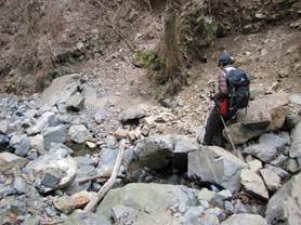 ����: C:\Users\ktsik\Desktop\���q�R�J�R�ՁE���R�i�Ղ̔����j�Q�O�P�P�N�S���R��\IMG_2248.JPG