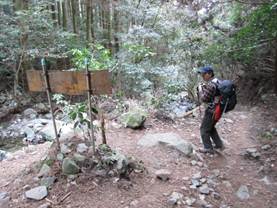 ����: C:\Users\ktsik\Desktop\���q�R�J�R�ՁE���R�i�Ղ̔����j�Q�O�P�P�N�S���R��\IMG_2253.JPG