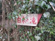 ����: C:\Users\ktsik\Desktop\���q�R�J�R�ՁE���R�i�Ղ̔����j�Q�O�P�P�N�S���R��\IMG_2260.JPG