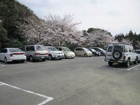 ����: C:\Users\ktsik\Desktop\���q�R�J�R�ՁE���R�i�Ղ̔����j�Q�O�P�P�N�S���R��\IMG_2273.JPG