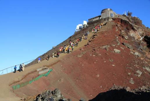 23.�x�m�R�̎ʐ^