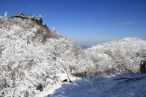 55.�p�F�R�E�X�e�̎ʐ^