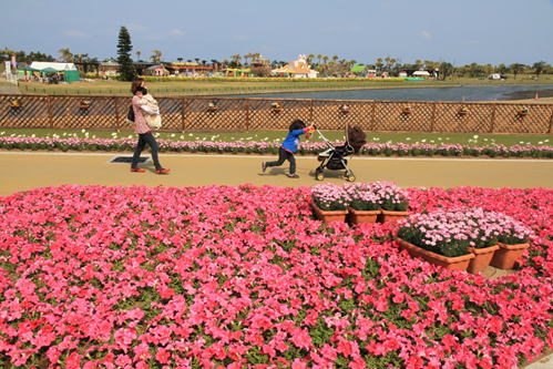 ���ǂ��̍�