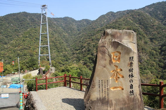 ���̏Ɨt�݂̒苴