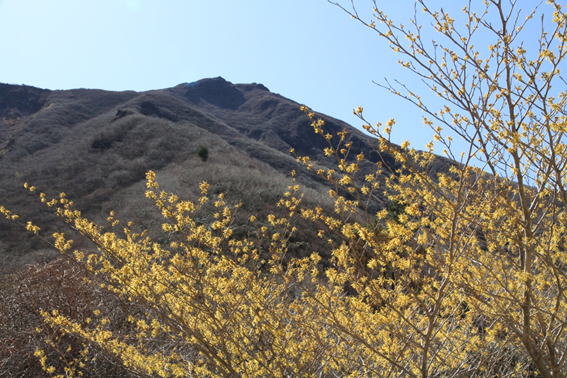 58.�q�R�̎ʐ^