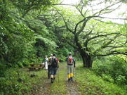 61.�������R�����̎ʐ^