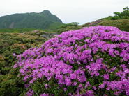 62.�����x�E�k��D�̎ʐ^