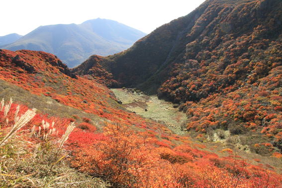 67.�O���R�̎ʐ^