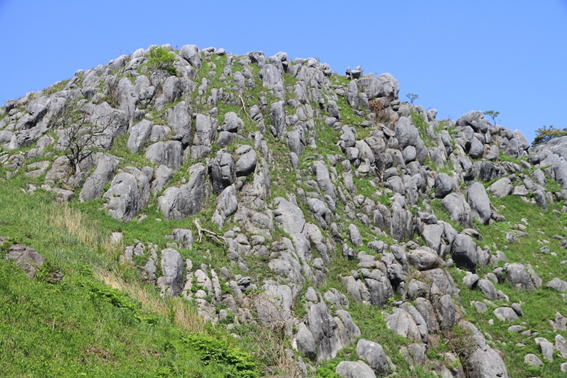 77.������̎ʐ^