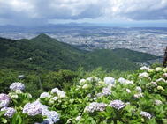 81�����R�̎ʐ^