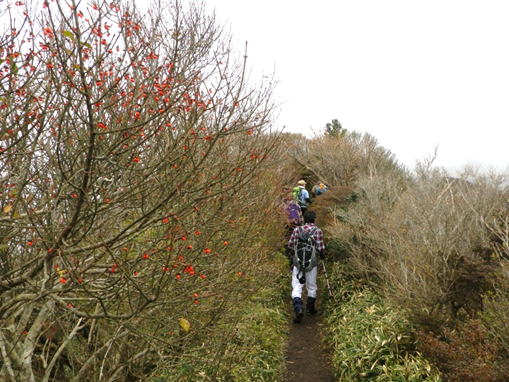 51.�����x�̎ʐ^